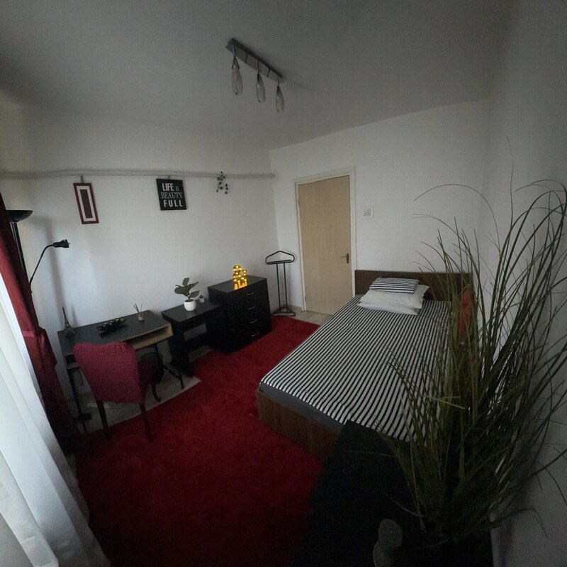 Rahova, Mihail Sebastian