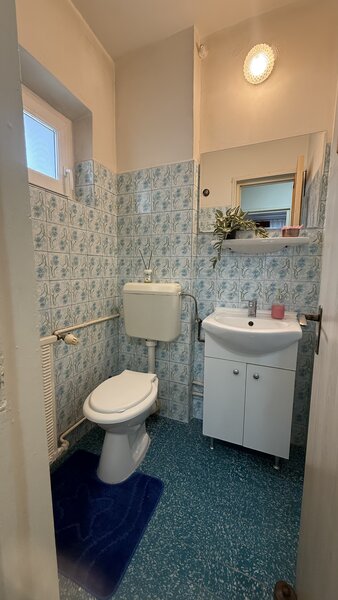 Rahova, Mihail Sebastian